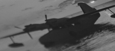 Print-TSA-Goose-394-cbw