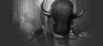 Web-PlainsCapital-394-bw